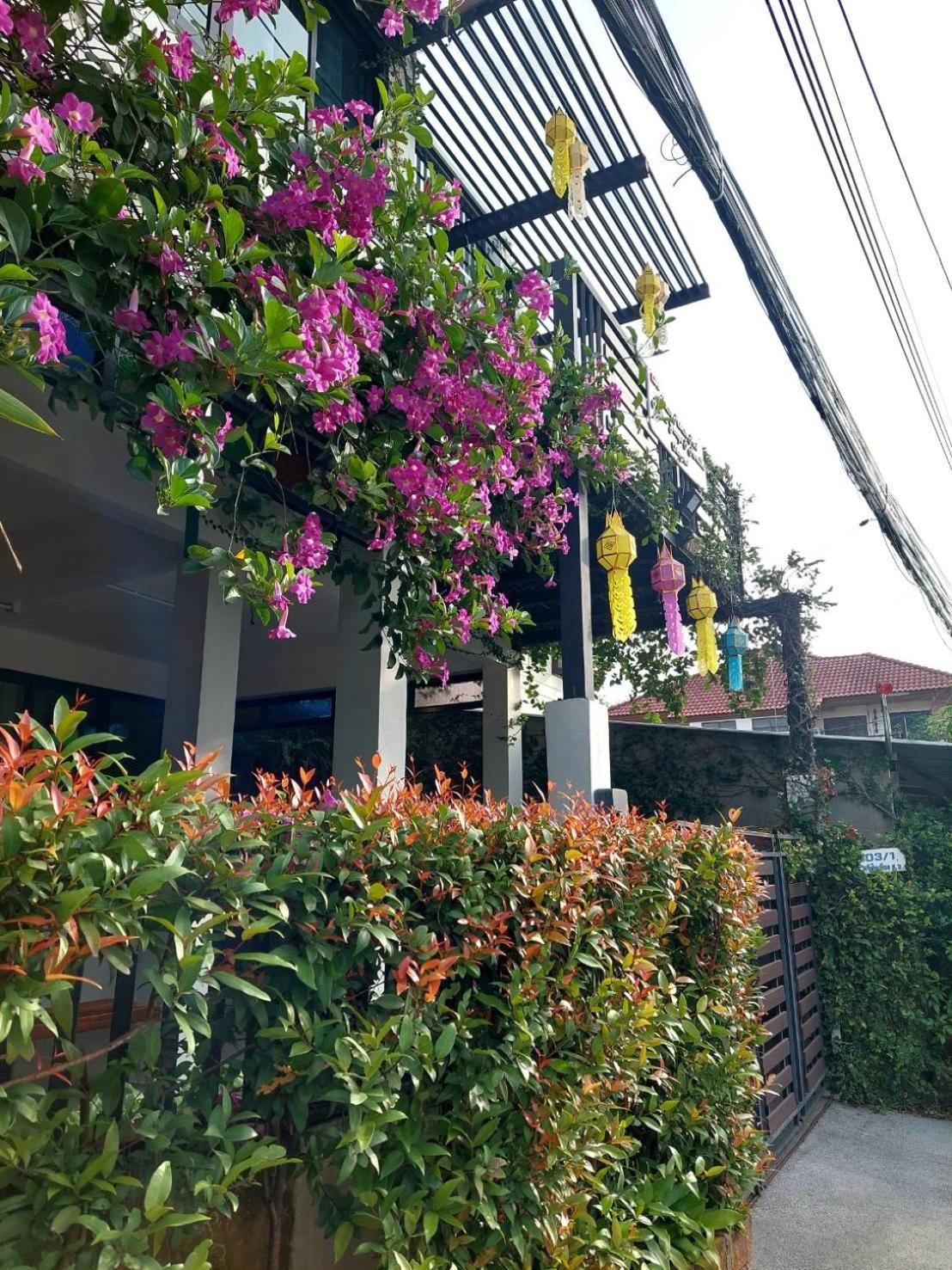 清邁Ld8 House Private Pool Perfect Groups -Families Chiangmai别墅 外观 照片